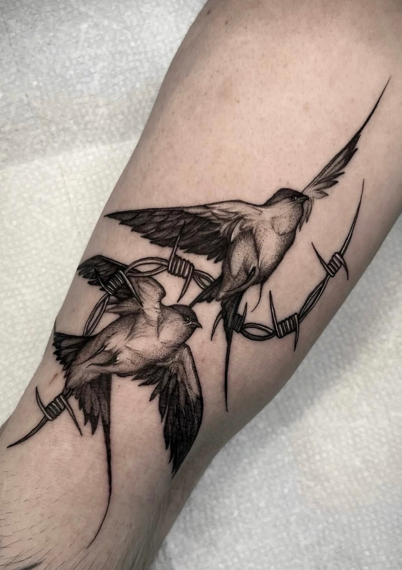 Blackwork Birds Tattoo Toronto